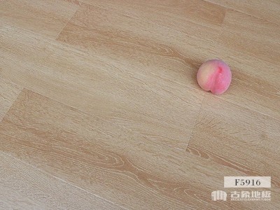 古象強化地板·白露青松-F5916